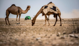 Yazeed Al-Rajhi, Qatar Cross-Country Rally 2019