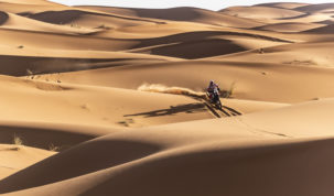 Paulo Gonçalves, Rallye du Maroc 2019